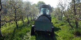 Comment la chimie accélère la réduction des pesticides et favorise la protection biologique des cultures