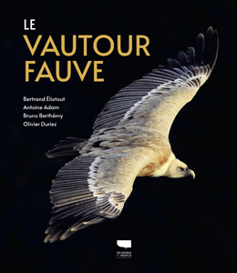 Le vautour fauve (B. Eliotout, Delachaux et Niestlé, 2022)